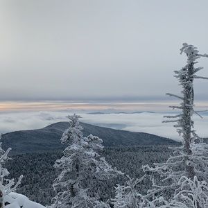 Meet your Posher, Jordyn